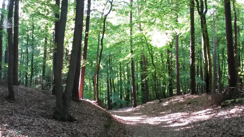 Hotel Garni Nussbaumhof Ueckeritz Kültér fotó
